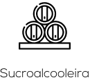 Group 99